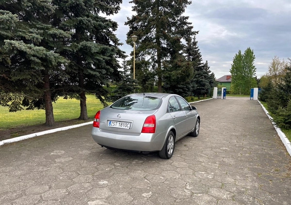 Nissan Primera cena 9900 przebieg: 87000, rok produkcji 2004 z Kobyłka małe 106